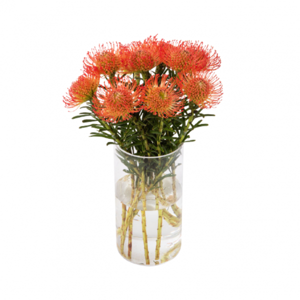 Pincushions in Vase
