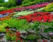 colorful-flowers-terraced-hillside-garden-design_11850